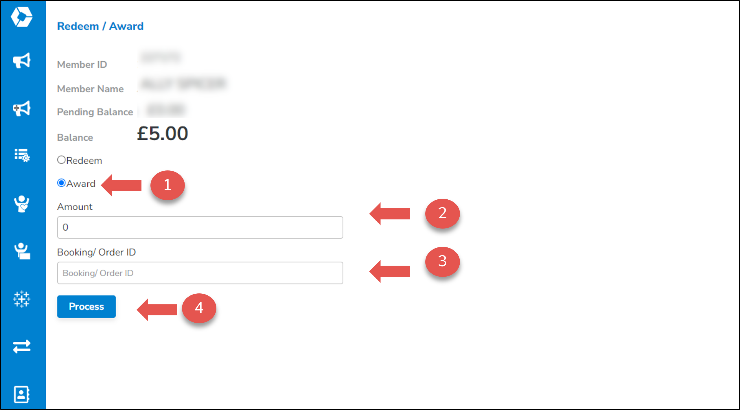 SRM Loyalty - Example Record Award or Redeem.png