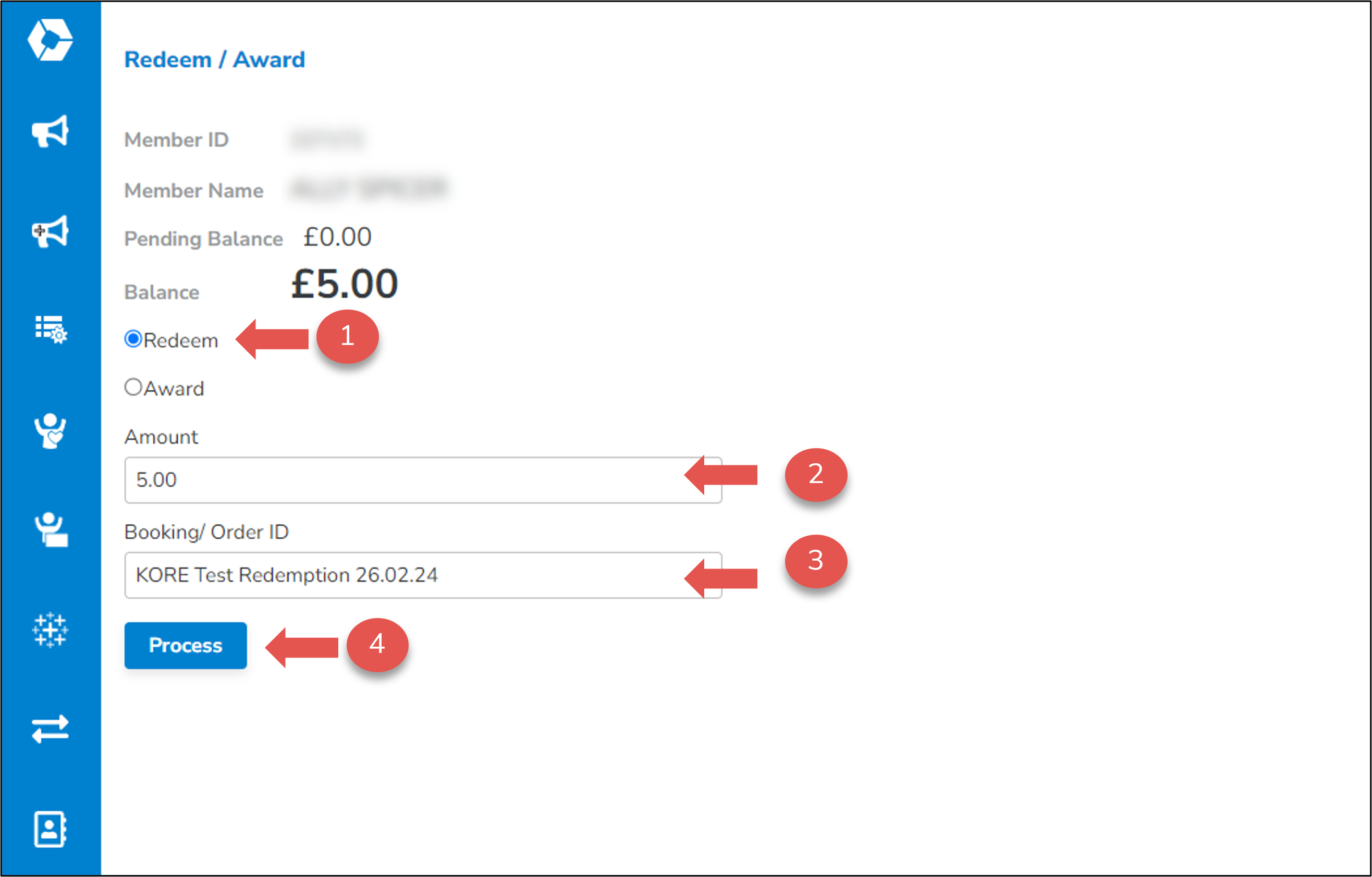 SRM Loyalty - Example Record Redemption.png